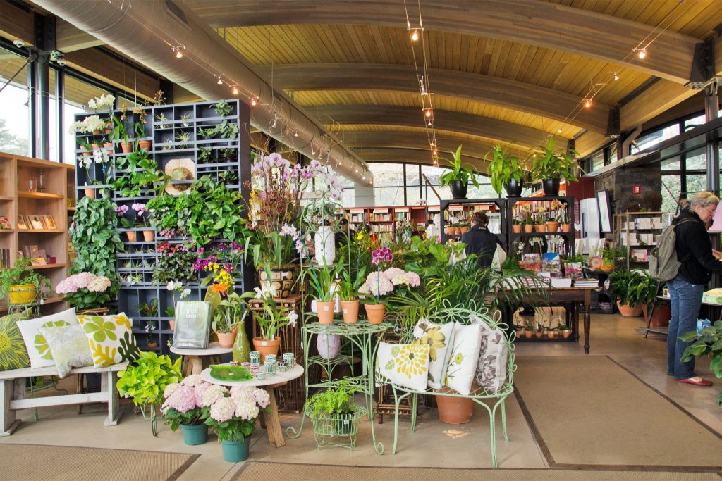 Garden Shops Online, inside garden shop with assortment of plants and accessories
