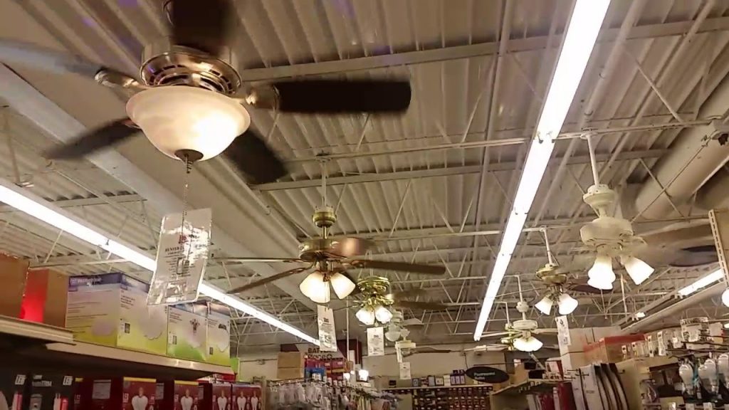 ceiling fans mounted on ceilng at ceiling fan store