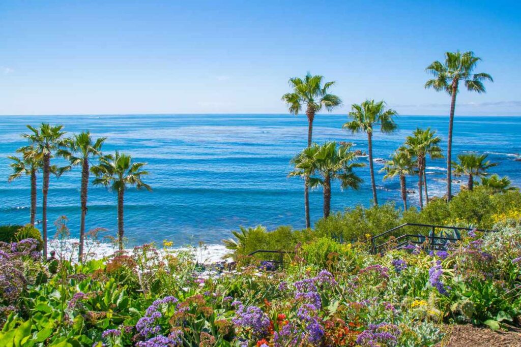 Southern California Online, Laguna beach beach park