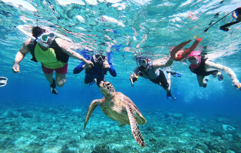 pixpons, scuba and snorkelers swimming sea turtle in ocean
