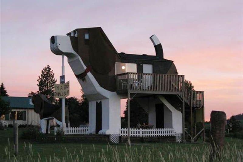 strangest news, strange house that looks like dog
